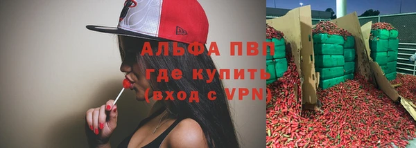 СК Абинск