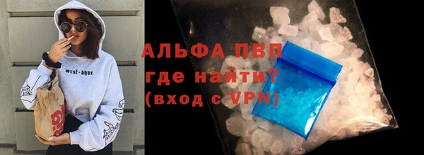 СК Абинск