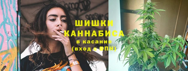 сатива Покров