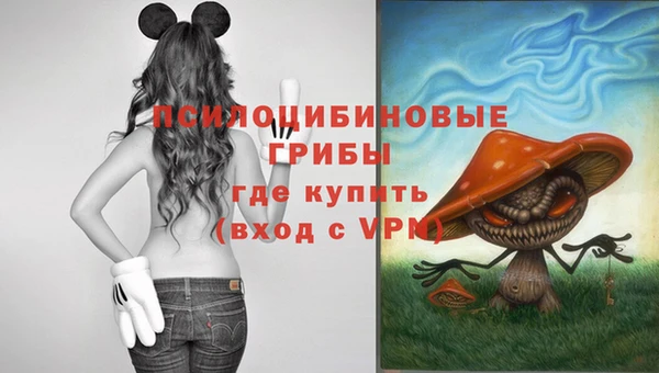 СК Абинск