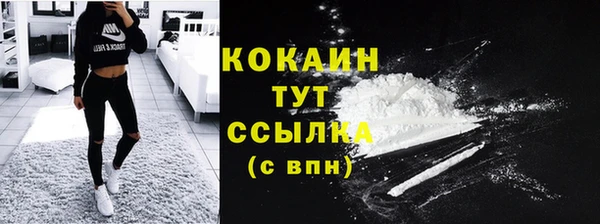 СК Абинск