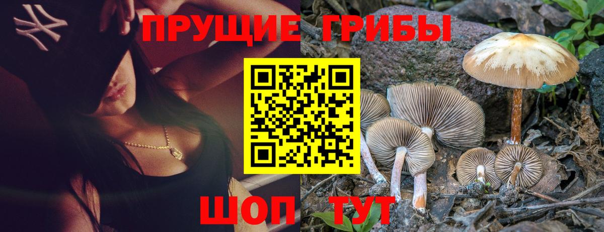 Псилоцибиновые грибы мухоморы Мегион